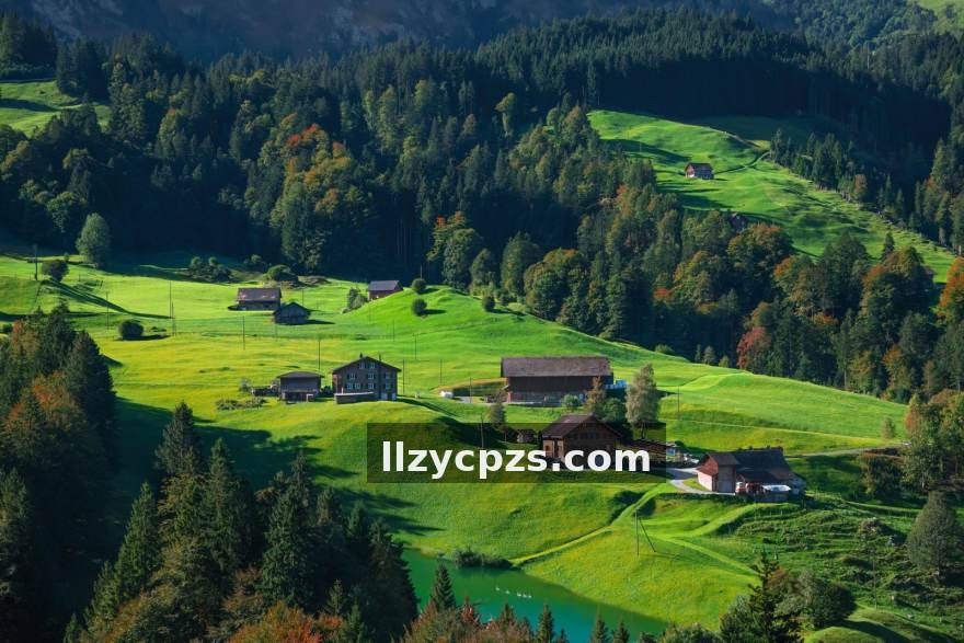 数据面板深度解读：用五组核心指标定位你的真实段位瓶颈